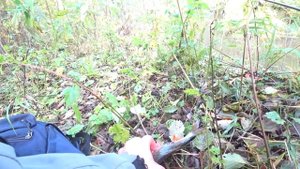 УДОЧКА В ДУГУ! РЫБАЛКА НА БОКОВОЙ КИВОК В СЕНТЯБРЕ!