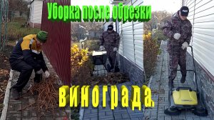 Уборка после обрезки винограда.