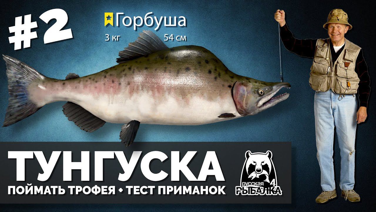 Русская Рыбалка 4 - Стрим #2 Ловим трофейную горбушу + тест приманок. смотреть онлайн