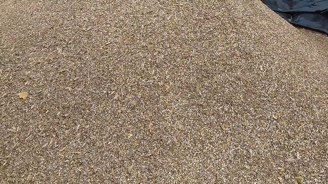 Привёз отход люпина. смотреть онлайн