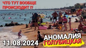 Пугающая Аномалия! #Голубицкая. 11.08.2024 Пляж района Кавказ, Молодежный. Азовское море