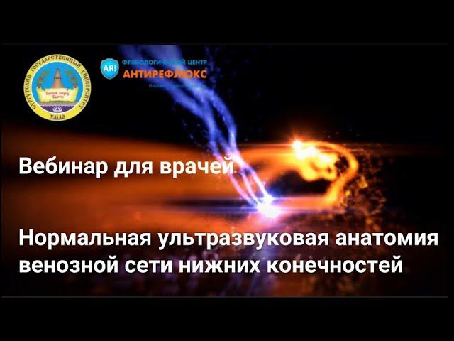 Нормальная ультразвуковая анатомия венозной сети нижних конечностей