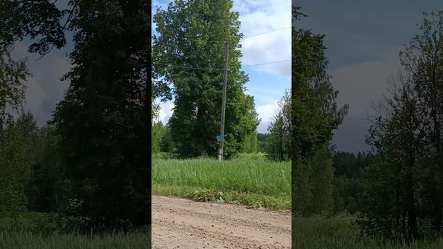 ЭТО ВСЁ МОЁ, РОДНОЕ...