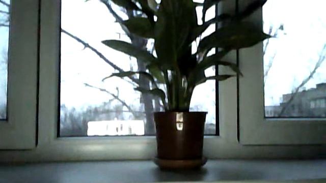 Только детские книги читать... смотреть онлайн