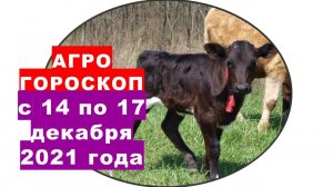 Агрогороскоп с 14 по 17 декабря 2021 года