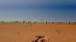 Титанобоа Существует! Случаи, Когда Гигантских Змей Сняли на Камеру