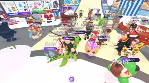 ТРЕЙДЫ НОВЫХ НОВОГОДНИХ ЗАЙЦЕВ В АДОПТ МИ ЧТО ДАЮТ ЗА НОВЫХ ПЕТОМЦЕВ В ADOPT ME TRADE