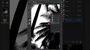 Photoshop Tutorial- How To Cut Out Trees In Photoshop Using One Powerful Techniques!