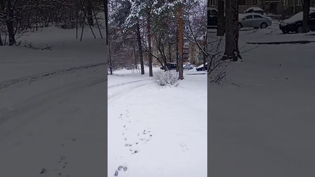 И снова выпадет снег. Выпал снег. Саранск парк зимой. Завалило снегом. Снег на асфальте.