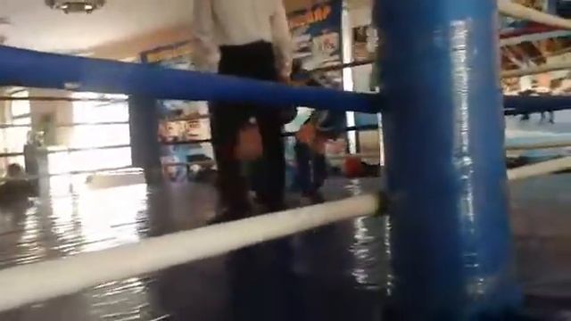 Тайский бокс (отбор) город Шымкент смотреть онлайн