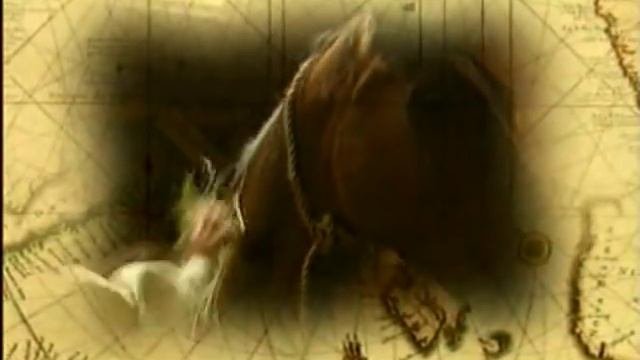 ЛОШАДИНАЯ ЭНЦИКЛОПЕДИЯ НЕВЗОРОВА 2  Лошади скачать бесплатно