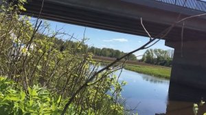 РЫБАЛКА НА ОХТЕ#САНКТ-ПЕТЕРБУРГ