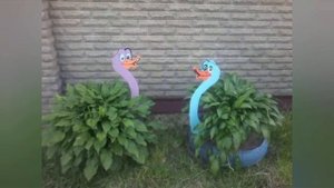 100 Идей для вашего сада и огорода.DIY ideas from the garden.