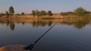 Эта блесна ловит ВСЕ! Простая рыбалка на Кондоме в Новокузнецке.