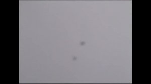 Очаковские серпастые голуби 2019г