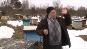 КАКУЮ ПОРОДУ ПЧЁЛ ВЫБРАТЬ?
