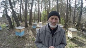 ЗЛЫЕ ПЧЕЛЫ НА ПАСЕКЕ! КАК ИСПРАВИТЬ СИТУАЦИЮ?