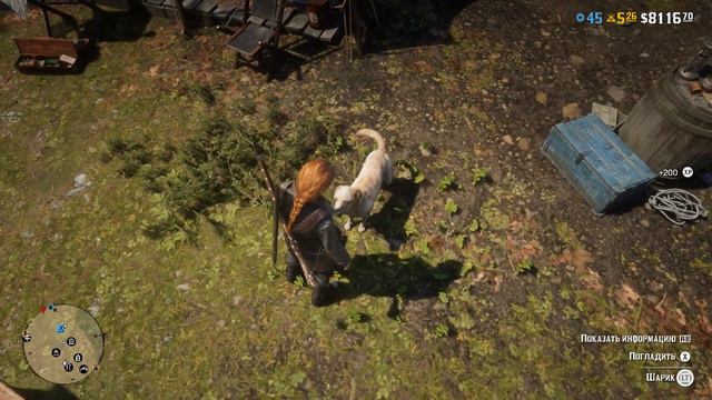 «Погладить собаку» - Ежедневные испытания - RDR 2 Online (ПК) [1080 HD] смотреть онлайн