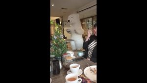МИШКА БЕЛЫЙ ТАНЦЫ ПРАЗДНИК ))))
