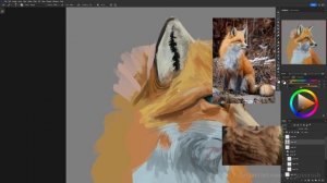 Fox studying | Photoshop