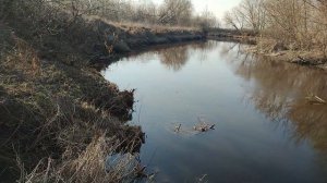 Видеоминутка с реки Гжелка. Очень немелкая плотва. 12 04 2023.