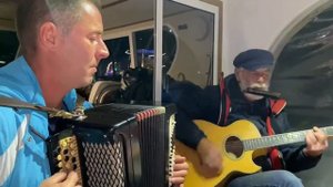 А белый лебедь на пруду /КАК ДУШЕВНО!  Баян, гитара и гармошка. Лесоповал