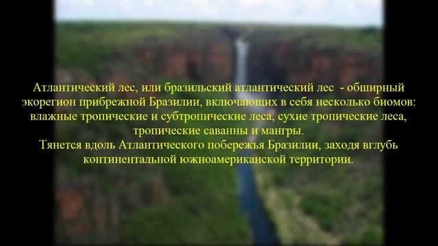 Национальные парки Бразилии смотреть онлайн