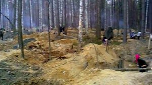 Добыча янтаря на Житомирщине