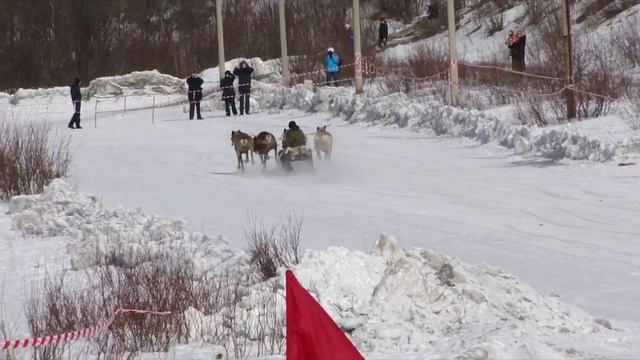 Праздник Севера смотреть онлайн