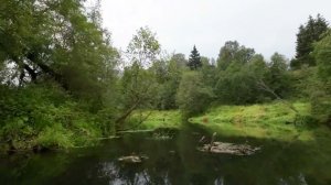 Сплав на байдарке по реке Березянка, Смоленская область