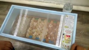 Закладка яиц в инкубатор Матрица Дели (ОБЗОР) / Блиц, Норма