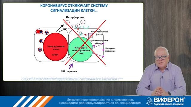 Интерфероновые белки миллионы лет противовирусной защиты || Pubmed