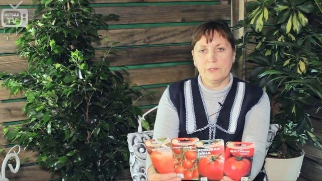 томаты индетерминантные,детерминантные,супер деторминантные