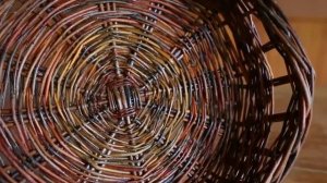 Ива - это самое полезное растение на земле?!