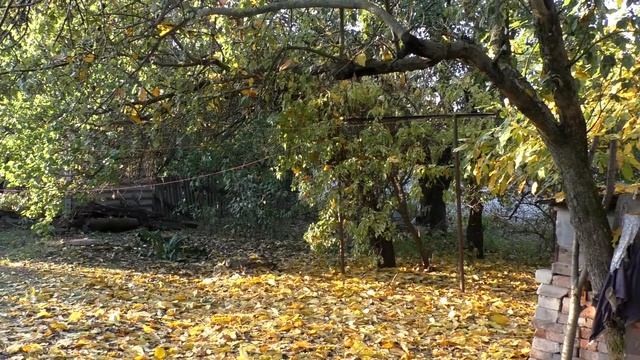 Волшебная колыбельная. Малыш уснет за 5 минут! Часть 5. На украинском языке смотреть онлайн