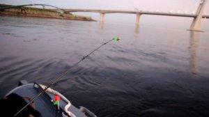 СУДАК под ЗСД!!! Рыбалка с лодки в устье НЕВЫ!!