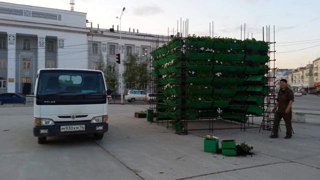 Белые ночи: Озеленение Якутска. смотреть онлайн