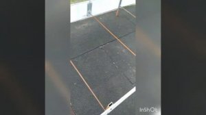 Грядка из листового шифера 3х1.5