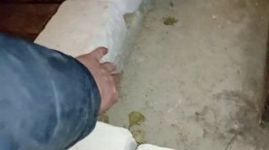 теплый пол в бане/простой способ теплого пола