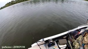 Тут есть рыба! река ОКА - Серпухов. Трофейная щука и шикарные ОКУНЯхи. Спиннинги SPORTEX серии Nova