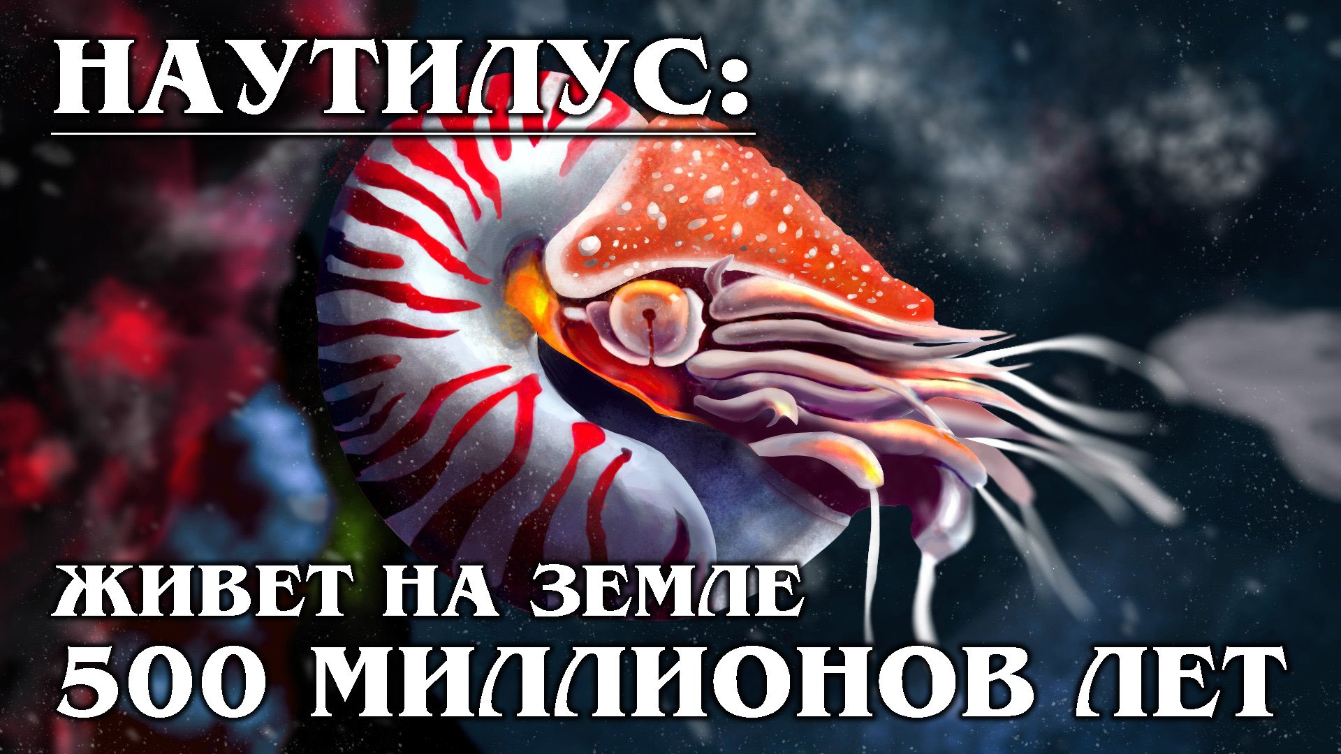 Наутилус зверь текст. Наутилус моллюск. Наутилус Морское животное. Наутилус Помпилиус плакат. Наутилус ест.