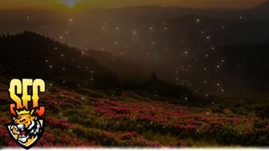 Nikitata — Ты не любишь розы окей