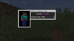 Изменил пол и стал девушкой прямо в игре | Обзор мода Wildfire’s Gender для Майнкрафт