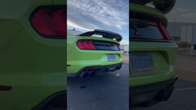 Shelby GT500 Exhaust Modes ?️ Which One is Your Favorite?