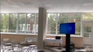 ФОРУМ ЛАДОГА/ ЛУГА/ ЗЕЛЕНЫЙ БОР