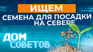 Ищем семена для посадки на севере