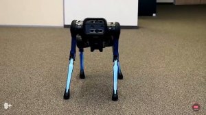 Робособаки полный обзор и трюки