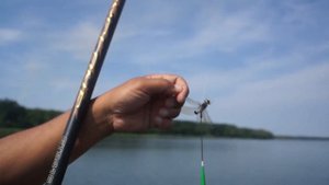 Зуевка - ДНР... Ольховское водохранилище!