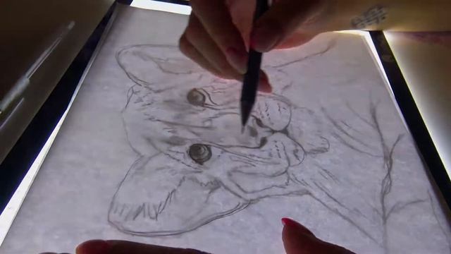 Световой планшет ArtPinOk А4 "Профи" смотреть онлайн