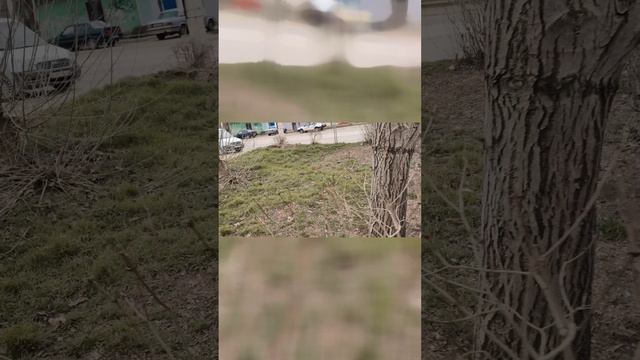 Смешные рыжие котята с надписями. Забавные кошки. Котенок надпись красивая. Вот такую лучше. Мне нужен котенок.